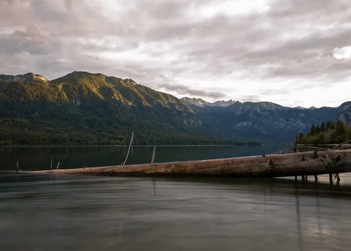 Jelka Apartamento Bohinj